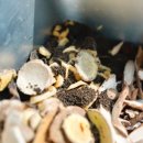 한의사 아빠의 올바른 성장과 두뇌클리닉 이야기 | 송도수험생보약? 이걸 보시면 됩니다 <한의사 작성>