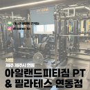 아일랜드피티짐 이미지