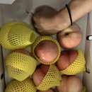 경봉마트 이미지