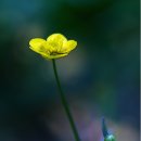 행복을 파는 상점이 있습니다...La Vida Es Bella (인생은 아름다워) 이미지