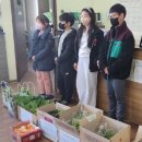 서경초등학교 이미지