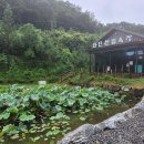 [옥천답사] 화인 산림욕장을 가다 이미지