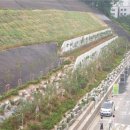 미성동-3 이미지