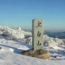 사하초교 앞 이미지