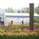 너나들이캠핑장 이미지