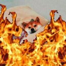 누나야 이미지