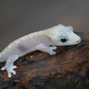 원주브리딩 이미지