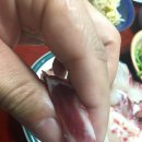 슈가팸팸 이미지