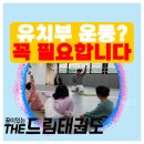 THE 드림 태권도 이미지