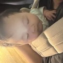 세우마트 | 4개월 아기랑 제주살이-3 / 아기랑 카멜리아힐 방문하기, 카멜리아힐 수유실, 유모차 반입, 아기띠 후기.