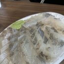 오케이회센타 | [인천 맛집] 인천 영종도 맛집 회포장 회센터 내돈내산 솔직후기