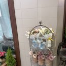 봄봄유치원 | 광교 꽃집 꼬캉내캉:) 유치원 학예회부터 부장님 명퇴...꽃집 추천, 수원꽃집, 용인꽃집, 내돈내산 후기