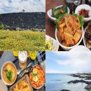 하도별방진 | 제주 동쪽 유채꽃 별방진 세화해변 세화 맛집들까지 내돈내산