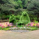 강릉씨클라우드카라반 이미지