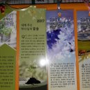 2017.1.1 송구영신예배(시편1편1~2절) 이미지