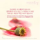 히13장 이미지