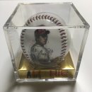 에이치아이씨(HIC) 이미지