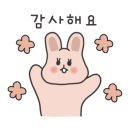 베베캣 고양이 이미지