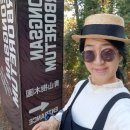 청산기프트 네이버블로그