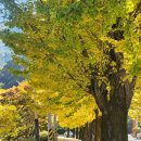 지에스25지리산천왕봉점 이미지