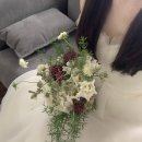 스튜디오선심 이미지