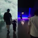 증평아시아마트 이미지