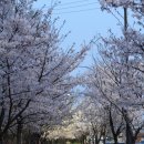 뚜레쥬르 카페서수원점 이미지