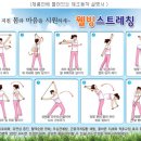 웰빙스트레칭 네이버블로그