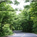 차랑용인 - 용인시 기흥구 공세로 150-29 | 차랑용인