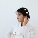 퓨어베이지