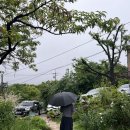 커피숍해밀
