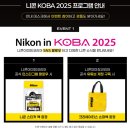 디카활용 주말 | 니콘카메라 Z6II 풀프레임 미러리스 풍경 사진 잘 찍는 법 디카추천