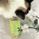 털보상회 이미지