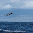 (주)칼라세상 이미지