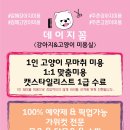 데이지꼼 이미지