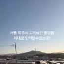 순천만뜰펜션