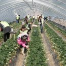 월천 농어촌체험휴양마을 이미지