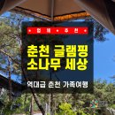 별빛플레르 | 글램핑, 춘천 캠핑장 추천! 소나무 세상에서 역대급 춘천 가족여행 즐기고 온 솔직 후기 힐링 최고임!!!