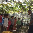 참뜰어린이집 이미지