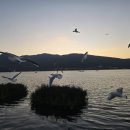 해경농장 이미지