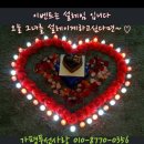 가평모나코애견펜션 이미지