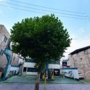 월성주유소 이미지