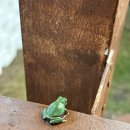 영희네집2 이미지