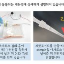 과학(전기)실험 이미지