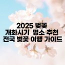 2025년 전국 벚꽃 개화시기 및 명소 &amp; 거제도 명소 안내 이미지