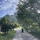 강물소리펜션 이미지