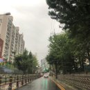 9nine PC 이미지