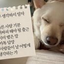 안녕하세요 이미지