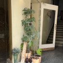 영창약국 이미지