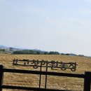 황금물결 농장 이미지